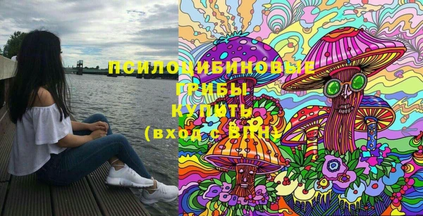 стаф Зерноград