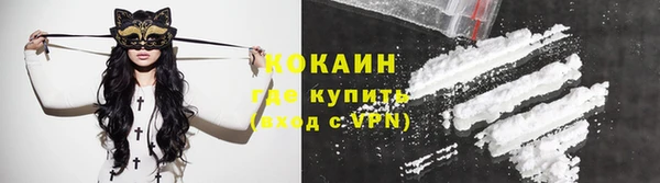 стаф Зерноград