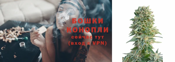 стаф Зерноград