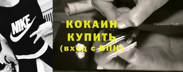 стаф Зерноград