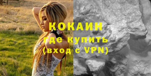 стаф Зерноград
