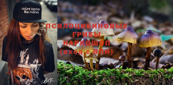 каннабис Зеленокумск