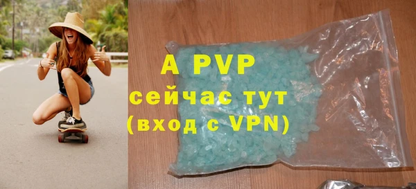 стаф Зерноград