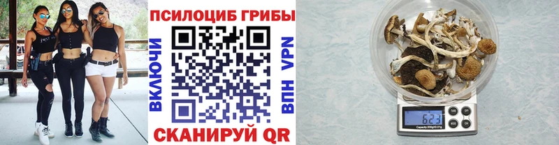 Псилоцибиновые грибы прущие грибы  Купить где  Новая Усмань 