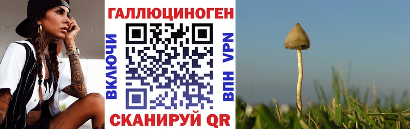 Псилоцибиновые грибы ЛСД Новая Усмань